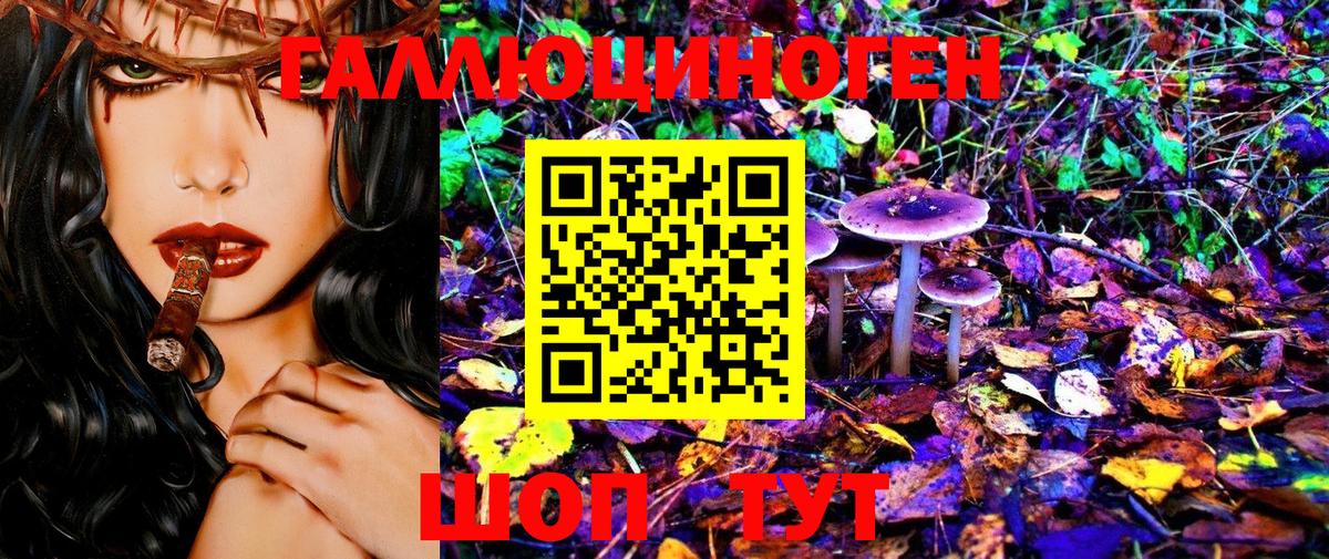 Псилоцибиновые грибы Magic Shrooms  Вход с VPN  Псилоцибиновые грибы Magic Shrooms  сколько стоит  Электрогорск 