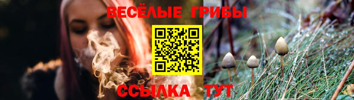 Галлюциногенные грибы GOLDEN TEACHER Электрогорск